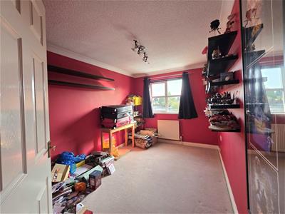 Picture 14